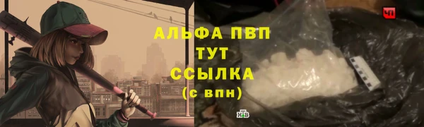 гидропоника Каменногорск