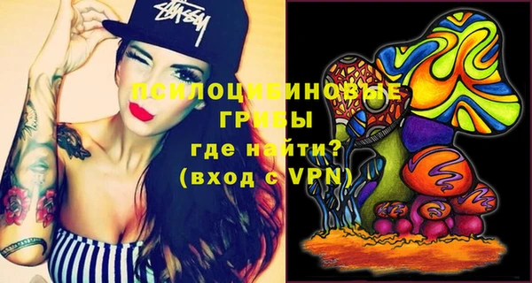 гидропоника Каменногорск