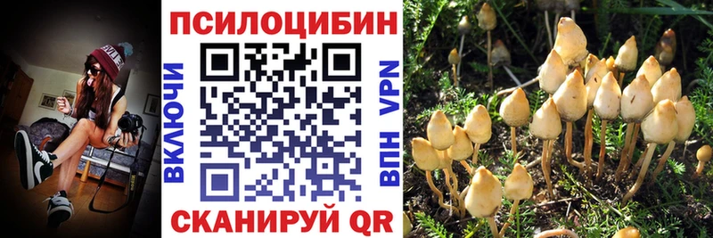 Галлюциногенные грибы GOLDEN TEACHER  Купить закладки  Клин 